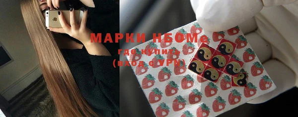 стафф Михайловск