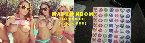 стафф Михайловск