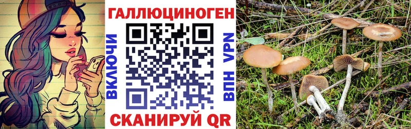 Галлюциногенные грибы Magic Shrooms  Карабаш 